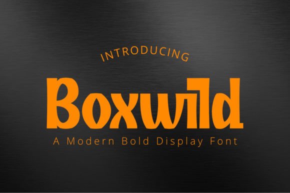 Boxwild: The Display Typeface That Elevates Editorial Design