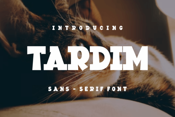 Tardim: A Bold Display Typeface for Modern Web Design