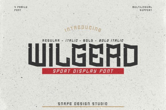 Wilgerd: The Bold Display Typeface for Modern Digital Brands